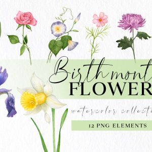Birth month flower png clipart for instant download, watercolor birthday flowers