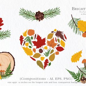 Fall vector leaves clip art set with pine branches and mushrooms
