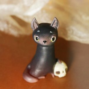 Black Cat with a Skull