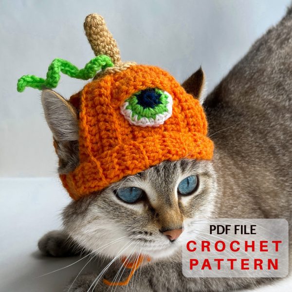 Pumpkin cat hat