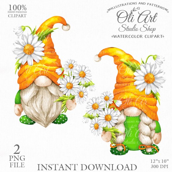 Chamomile Gnomes Clip Art. Cute Characters. Hand Drawn graphics.