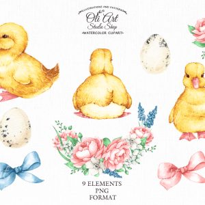 Watercolor Ducklings clipart PNG Little cute animals ducks flowers