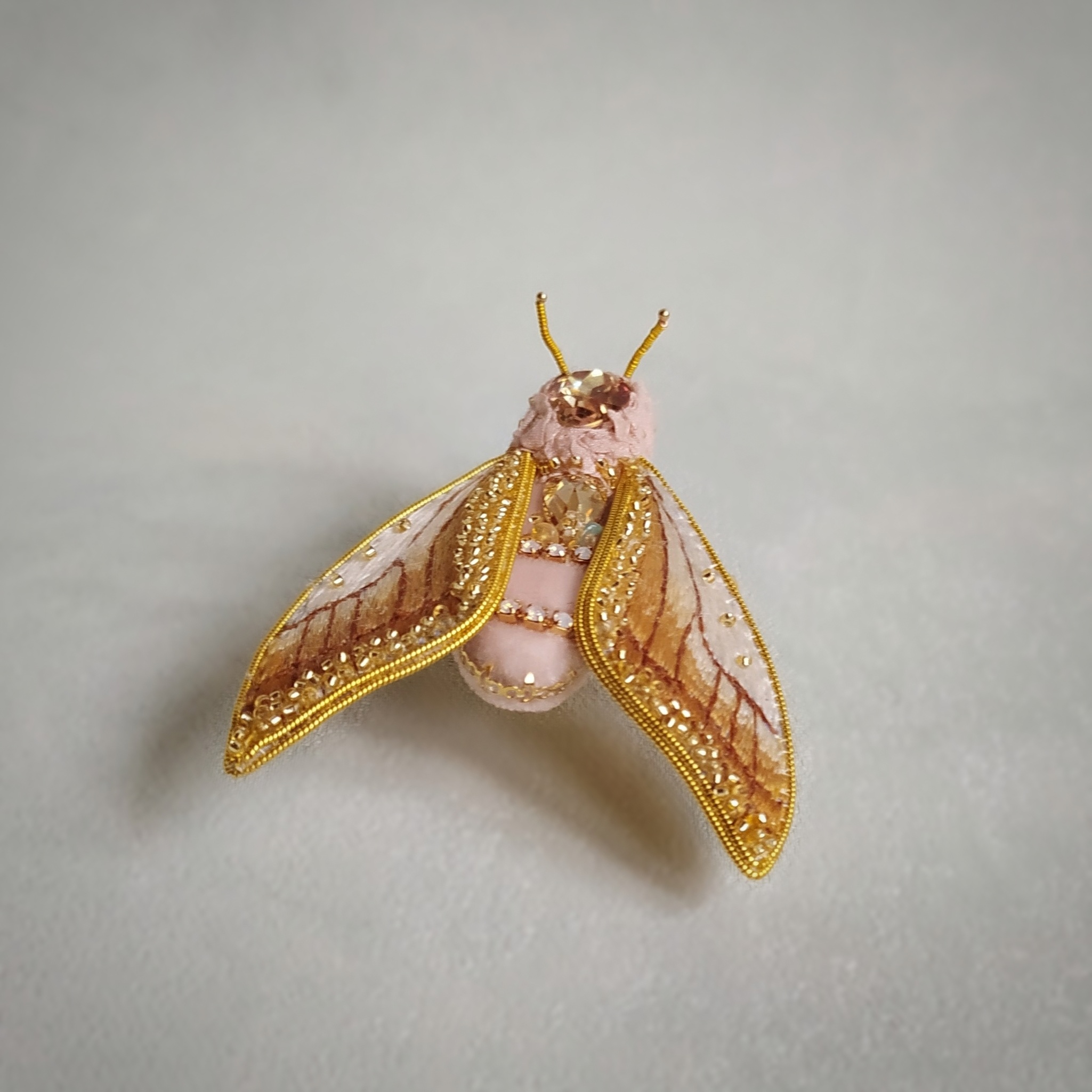 Gold moth brooch