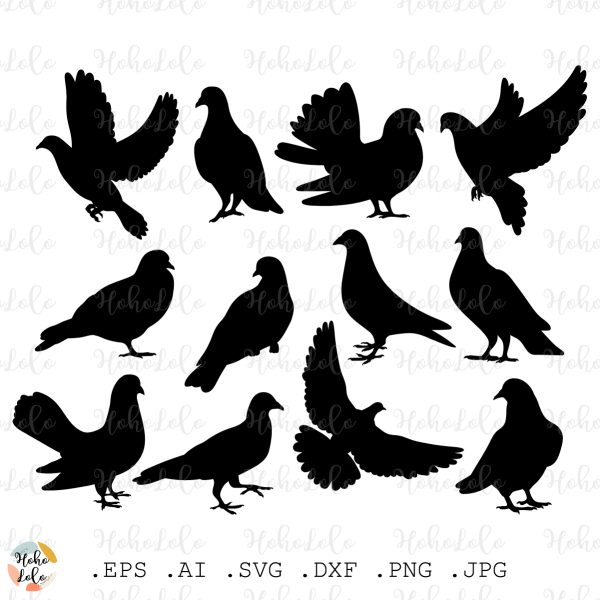 Pigeon Svg Dove Svg