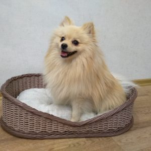 Oval wicker pet bed
