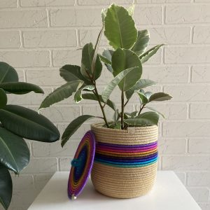 Rainbow_rope_basket_with_lid