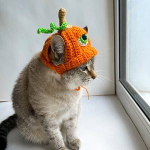 Cat hat for halloween