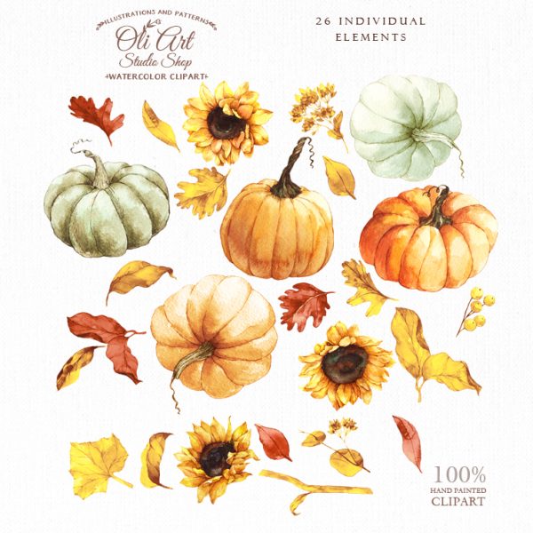 Watercolor of pumpkins and sunflowers clipart. Rustic hand painted