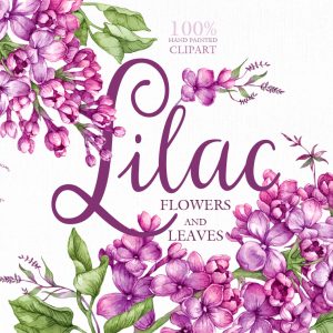 Watercolor flower clipart lilac. Flowerand pink floral paintings