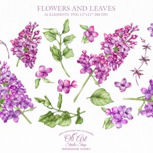 Watercolor flower clipart lilac. Flowerand pink floral paintings