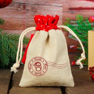 Christmas Santa Seal Machine Embroidery Designs, Christmas Santa, Gift