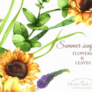 Watercolor sunflowers with leaves. Floral wreaths. Summer flowers