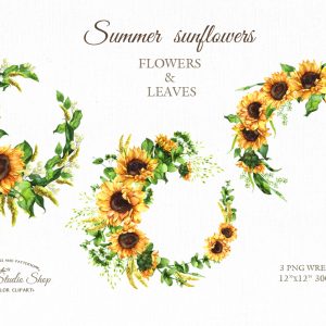 Watercolor sunflowers with leaves. Floral wreaths. Summer flowers