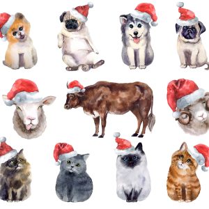 Christmas watercolor Clipart. Christmas animals png