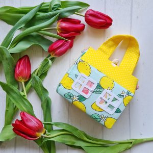 doll house bag gift for kid