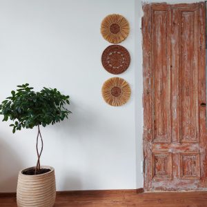 Hanging wall plates decor