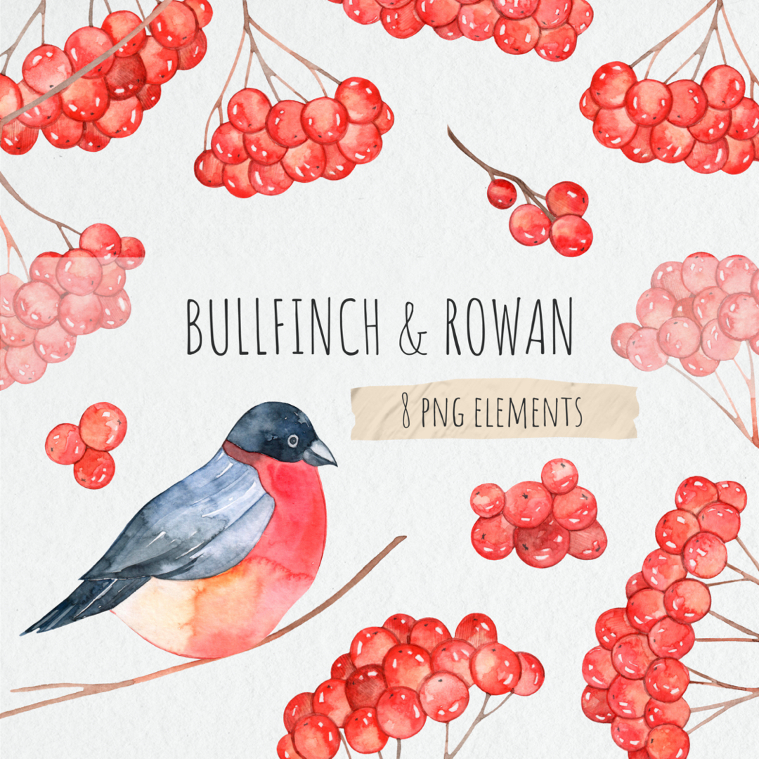 Bullfinch and Rowan 1