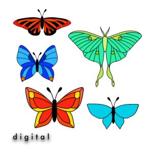 Butterfly Set of 5 Stained Glass Patterns