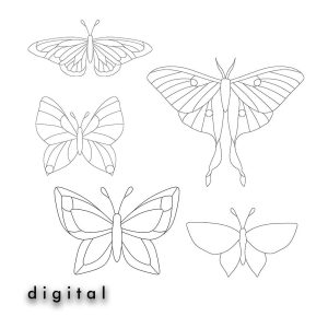 Butterfly Set of 5 Stained Glass Patterns