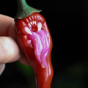Gothic creepy chilli pepper brooch, Predatory red capsicum pin, Dark Art