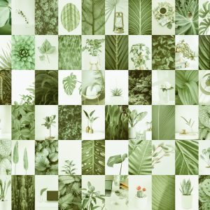 72 PCS Sage Green aesthetic wall collage kit download