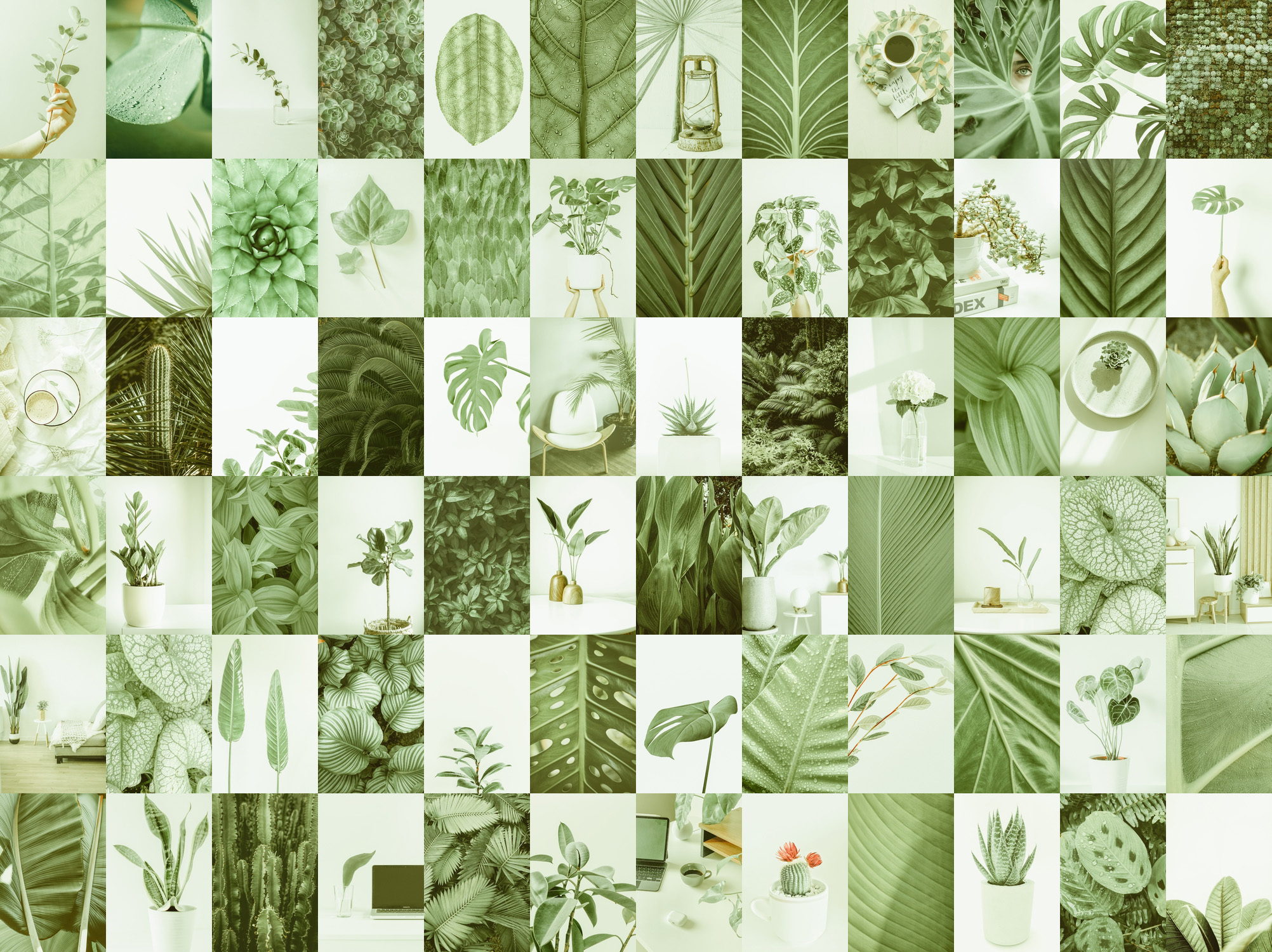 Sage Green Aesthetic Wallpaper Download
