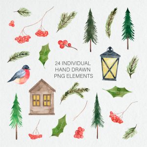 Watercolor Christmas Clipart.Winter Holiday Clipart.Pine cone.Red Berries.Hand-painted illustrations PNG