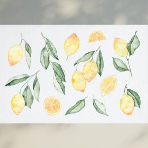 Watercolor Lemon Clipart / Yellow Citrus Fruit Clip Art / Lemon Fruit PNG / Citrus Greenery Leaves