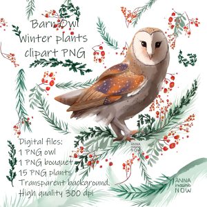 Barn owl winter Christmas