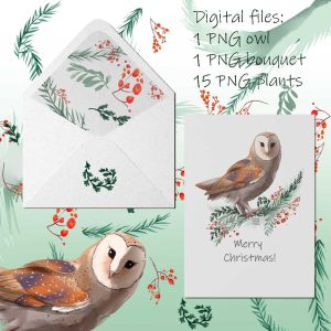 Barn owl winter Christmas