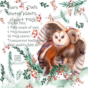 A couple of Barn owls winter Christmas bag clipart