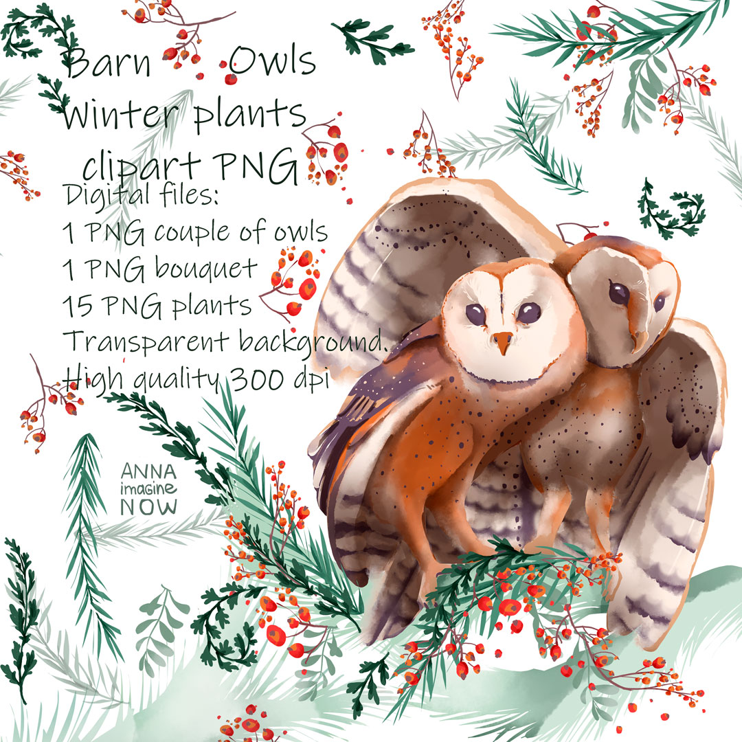 My Owl Barn: Holiday Edition Package Design by Glad