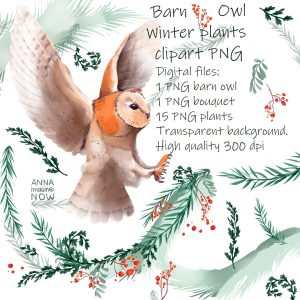 Barn owl winter Christmas
