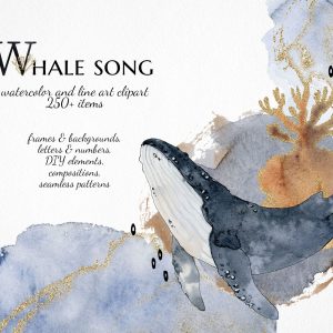 watercolor abstract ocean clipart, whale illustrations