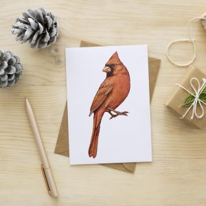 Christmas bird cardinal watercolor clipart