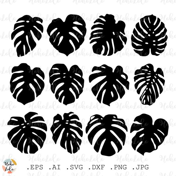 Monstera Svg Silhouette
