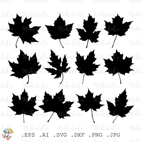 Maple Svg Leaves Silhouette Cricut