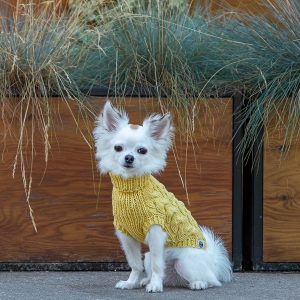 Lovely sweater for small dog. Length 10 inches