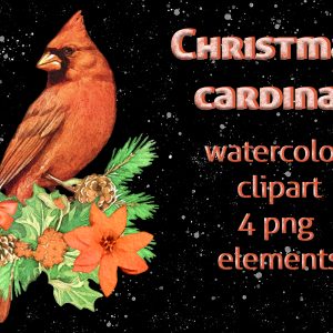 red bird cardinal png