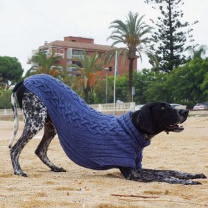 Great wool jumper for big dog. Length 70cm