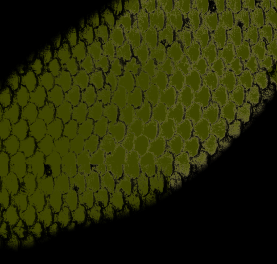brush fop Procreate SCALES 2 brush fop Procreate SCALES - Image 2