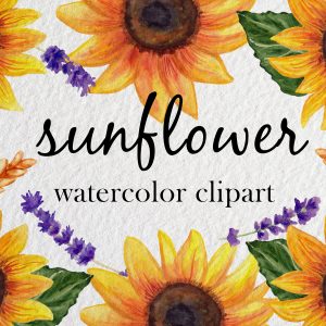 sunflower clipart