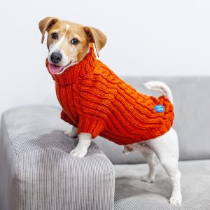 dog_clothes
