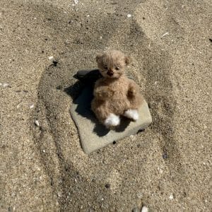 Miniature Teddy Bear / Crochet Toy