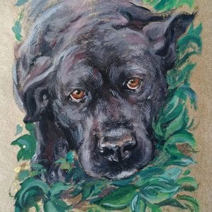 Sweet Midnight Pet Portrait Gouache Painting