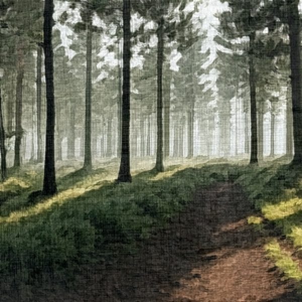 Painting - "The Forest's Embrace''