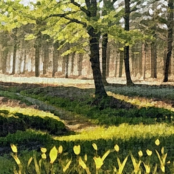 Painting - "The palette of nature''