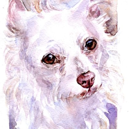 Sweet Noah Portrait Easily Downloadable Digital File