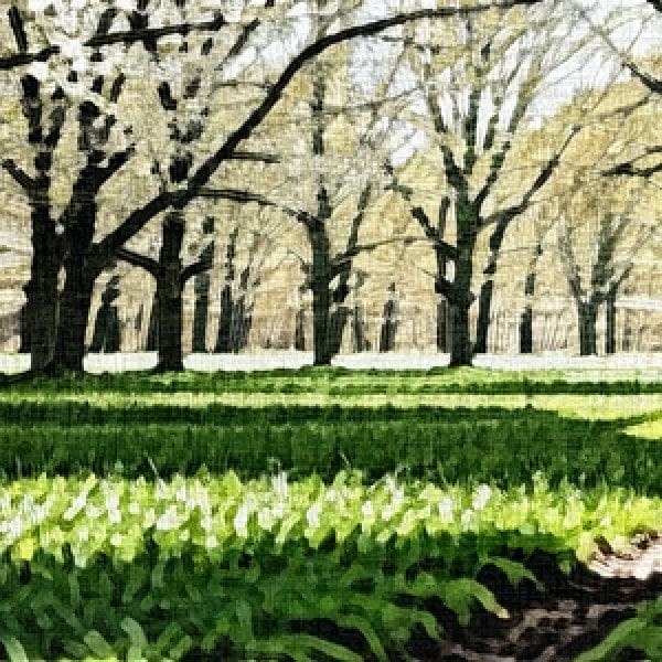 Painting - "Enchanted Forest''