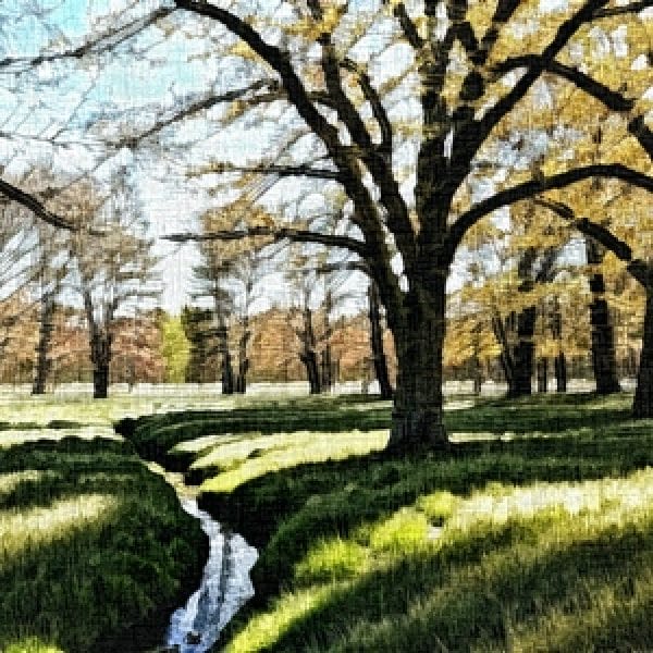 Painting - "Symphony of Water and Light''